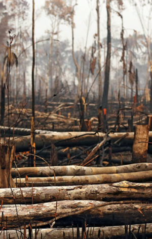 Tendência: mude algo, mude tudo. Será que algo muda com o fim da COP26?