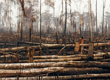 Tendência: mude algo, mude tudo. Será que algo muda com o fim da COP26?